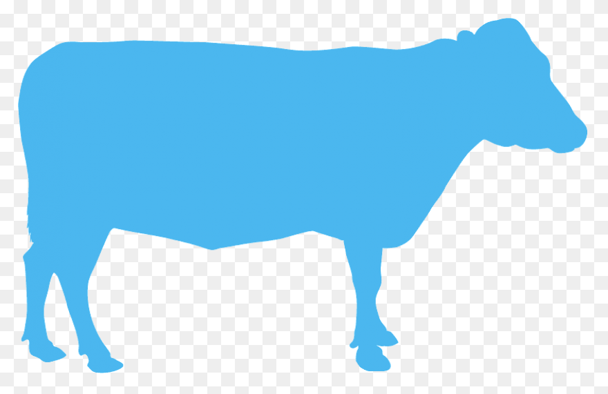Cow Head | Cow Clipart, Cartoon Cow