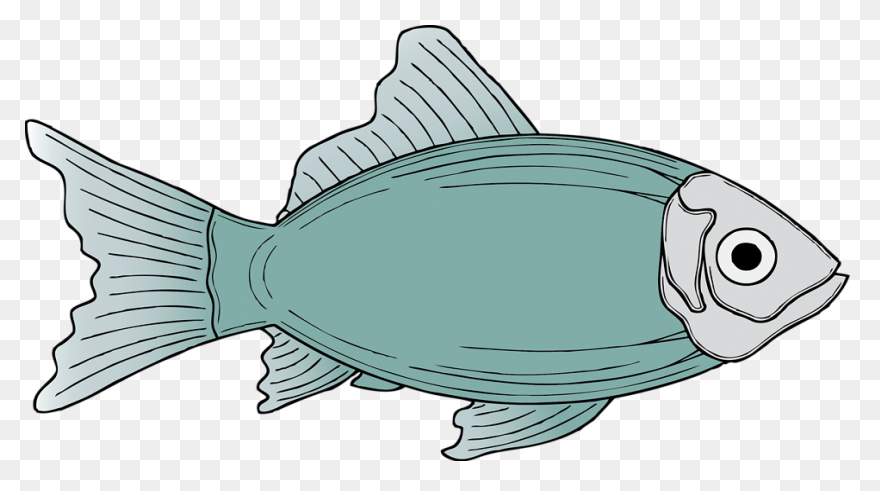 Free Cod Fish Cartoon, Download Fre