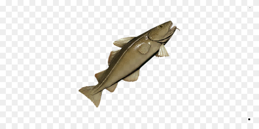Free Cod Fish Cartoon, Download Fre