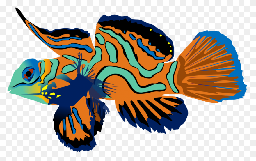 Tropical Fish Clipart Flounder - Co