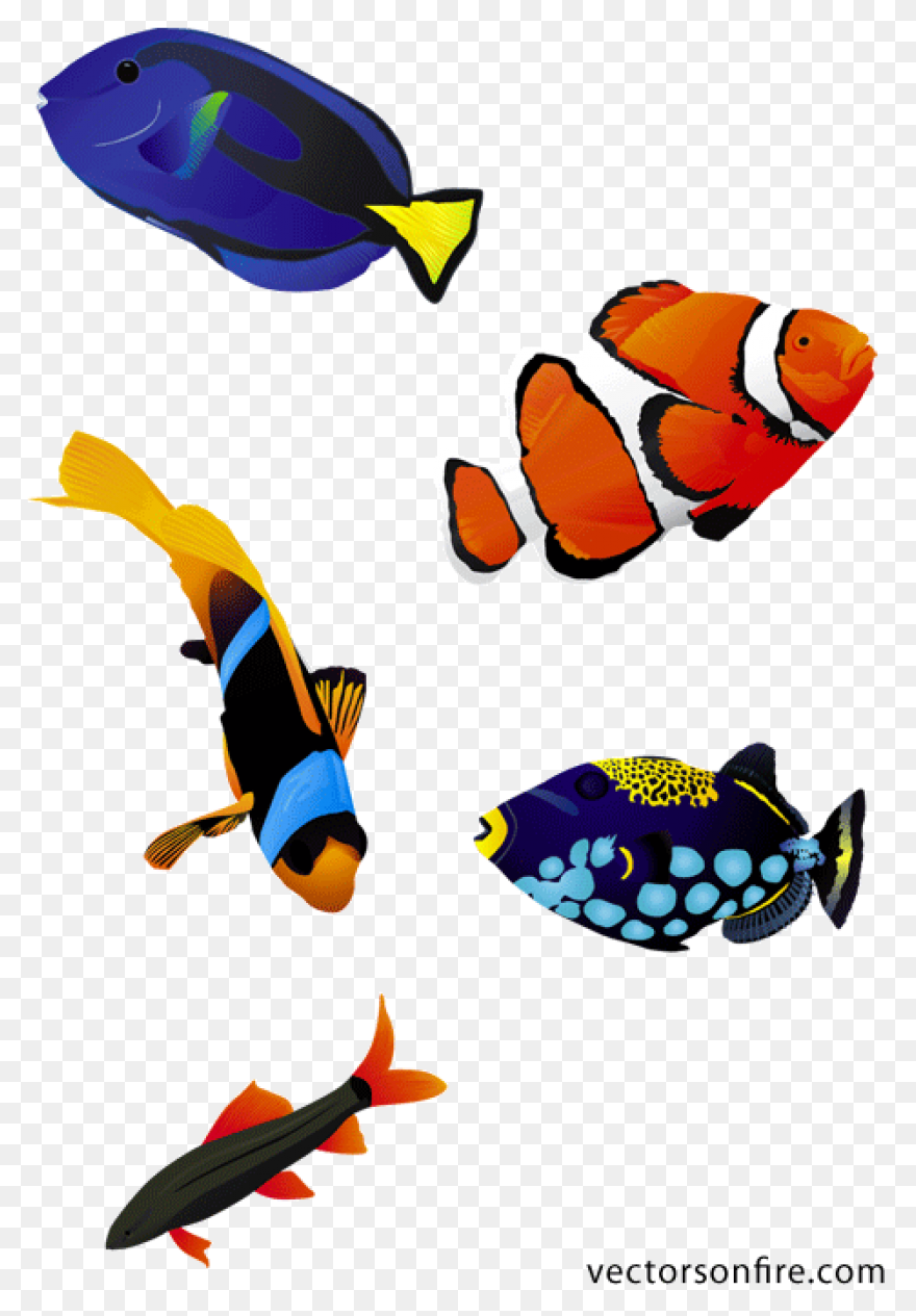 Tropical Fish Clipart Flounder - Co