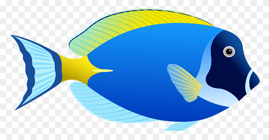 Tropical Fish Clipart Flounder - Co