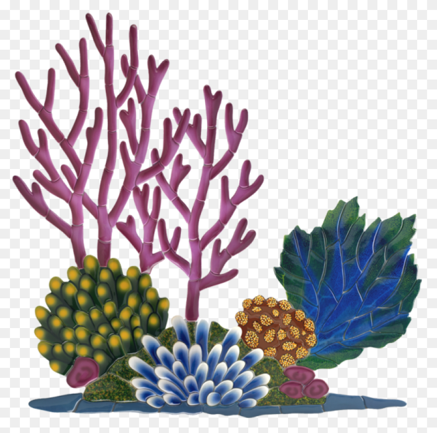 Tropical Fish Clipart Flounder - Co