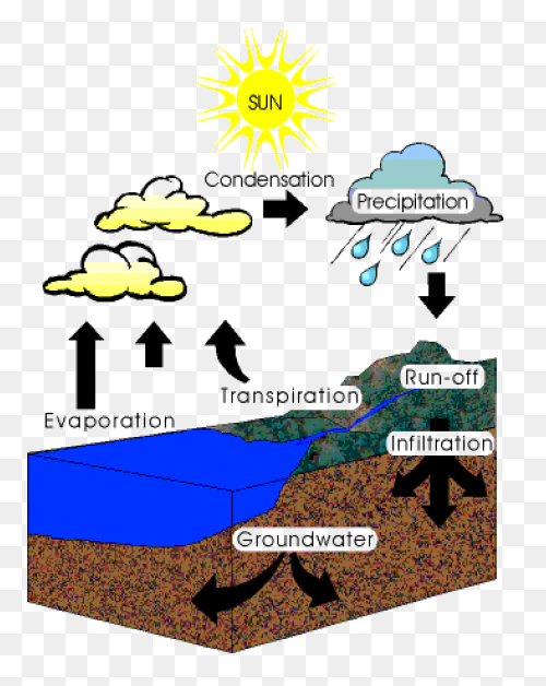 Download Puddle Clipart Condensatio