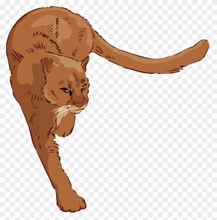 Gold Cougar Head - Cougar Head Clip