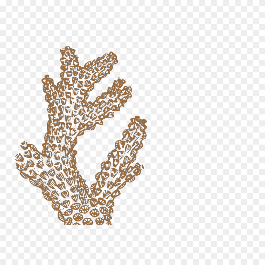 A Coral Reef Sticker • Pixers® -