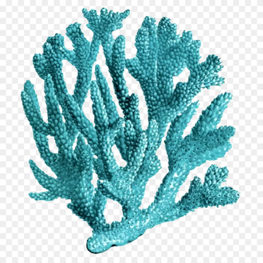 A Coral Reef Sticker • Pixers® -