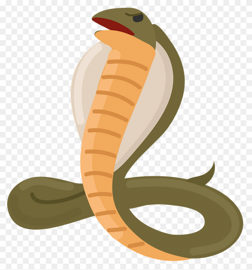 Cobra Snake Clipart - ClipartFlare
