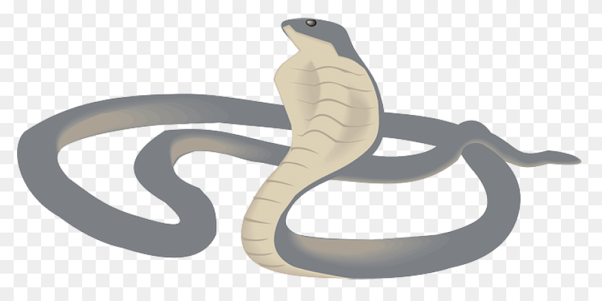 Cobra Snake Clipart - ClipartFlare