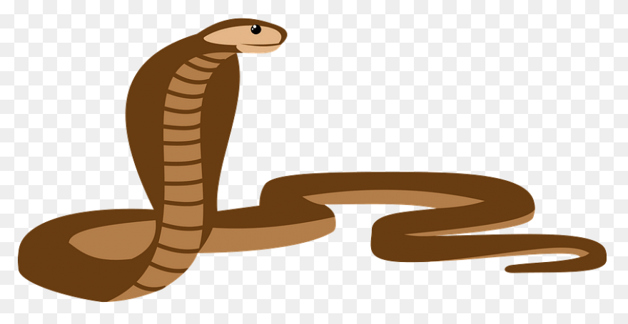 Cobra Snake Clipart - ClipartFlare