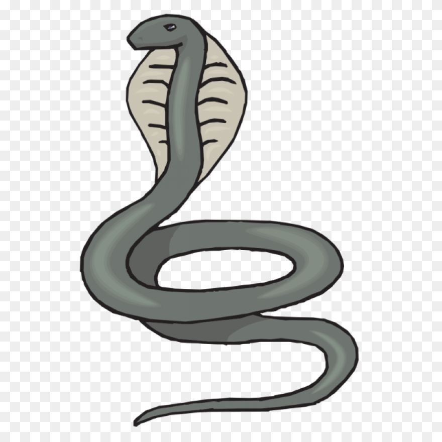Cobra Snake Clipart - ClipartFlare