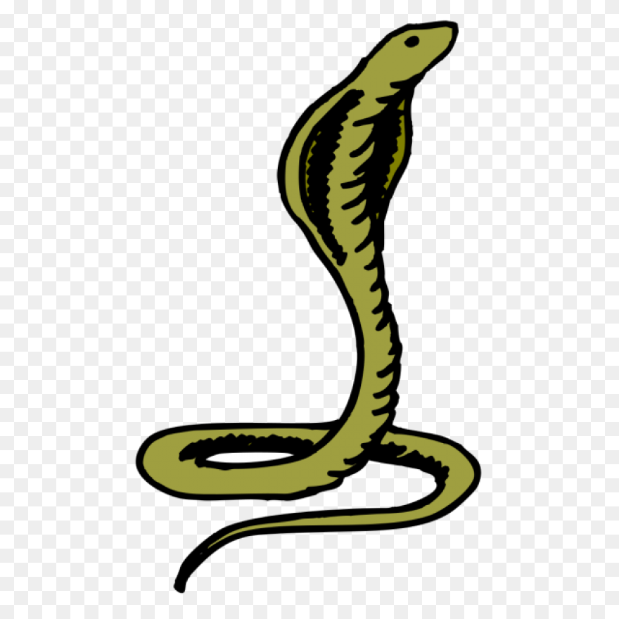 Cobra Snake Clipart - ClipartFlare