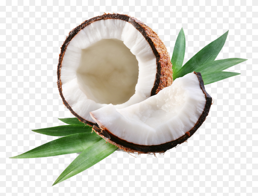 Organic Coconut Manna - Coconut But
