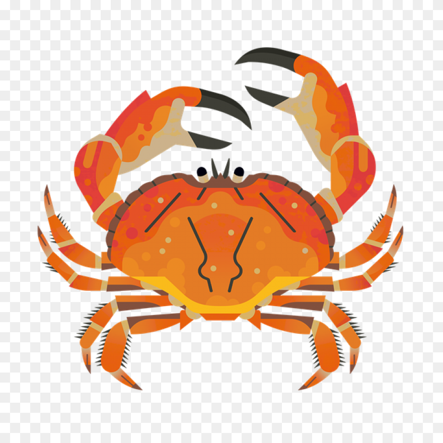 Seafood Graphic Royalty Free Sad Hu