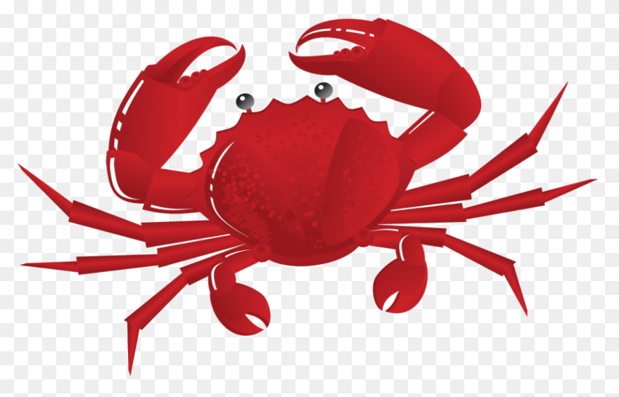 Seafood Graphic Royalty Free Sad Hu