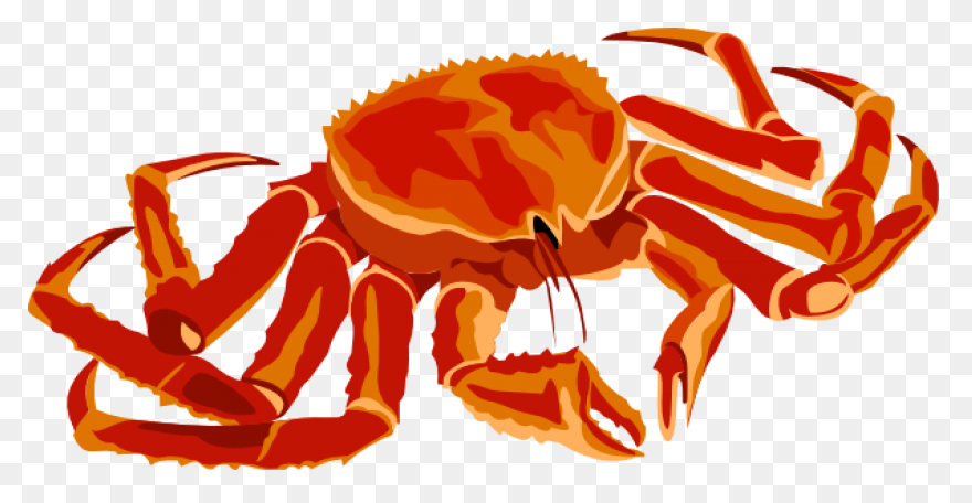 Seafood Graphic Royalty Free Sad Hu