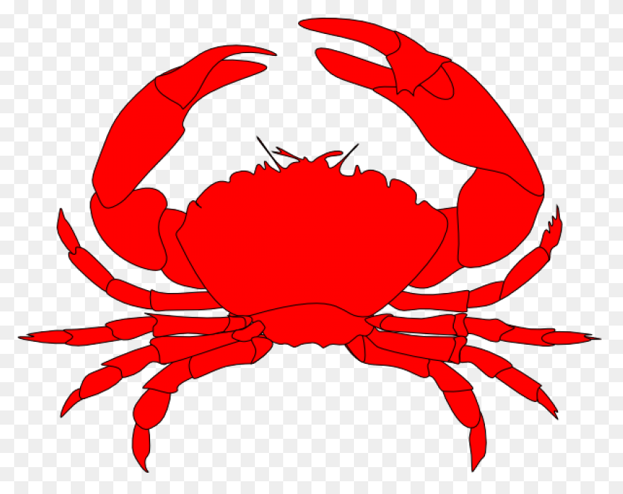 Seafood Graphic Royalty Free Sad Hu