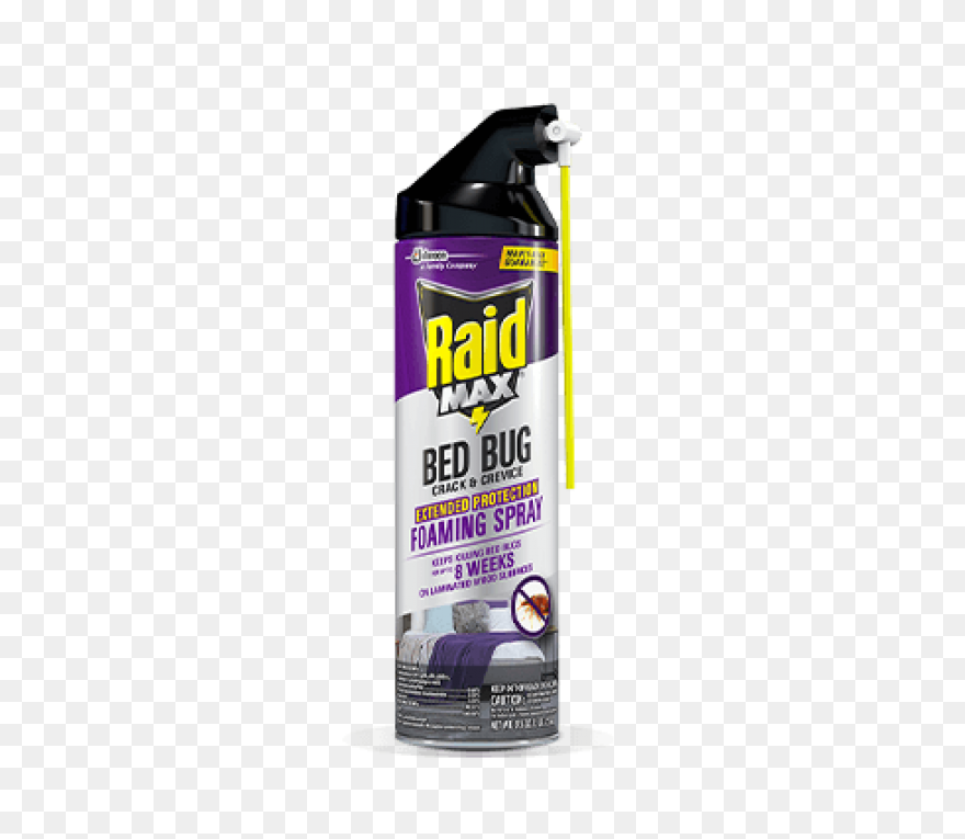 Tear Rag Paper Crack - Free Image O