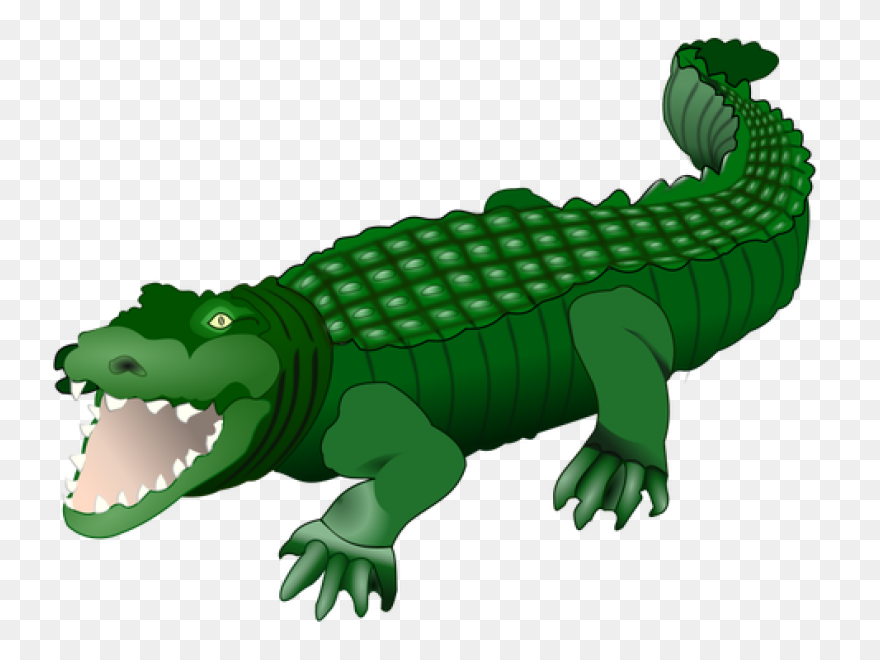 Crocodile | Public Domain Vectors - Crocodile