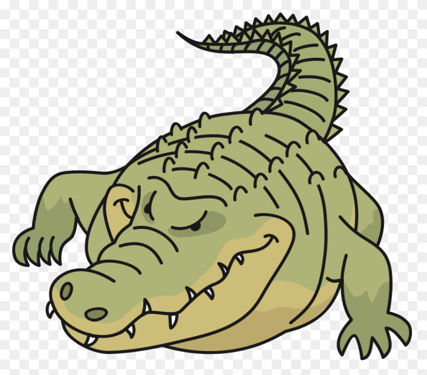 Crocodile | Public Domain Vectors