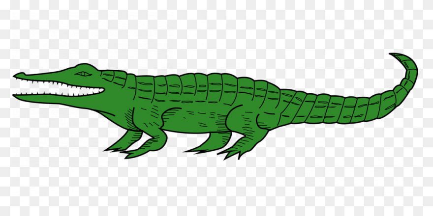 Crocodile | Public Domain Vectors