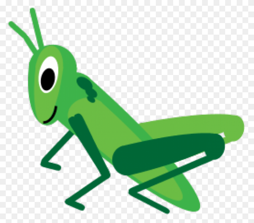 Cricket Ball Png Clip Art | Cricket