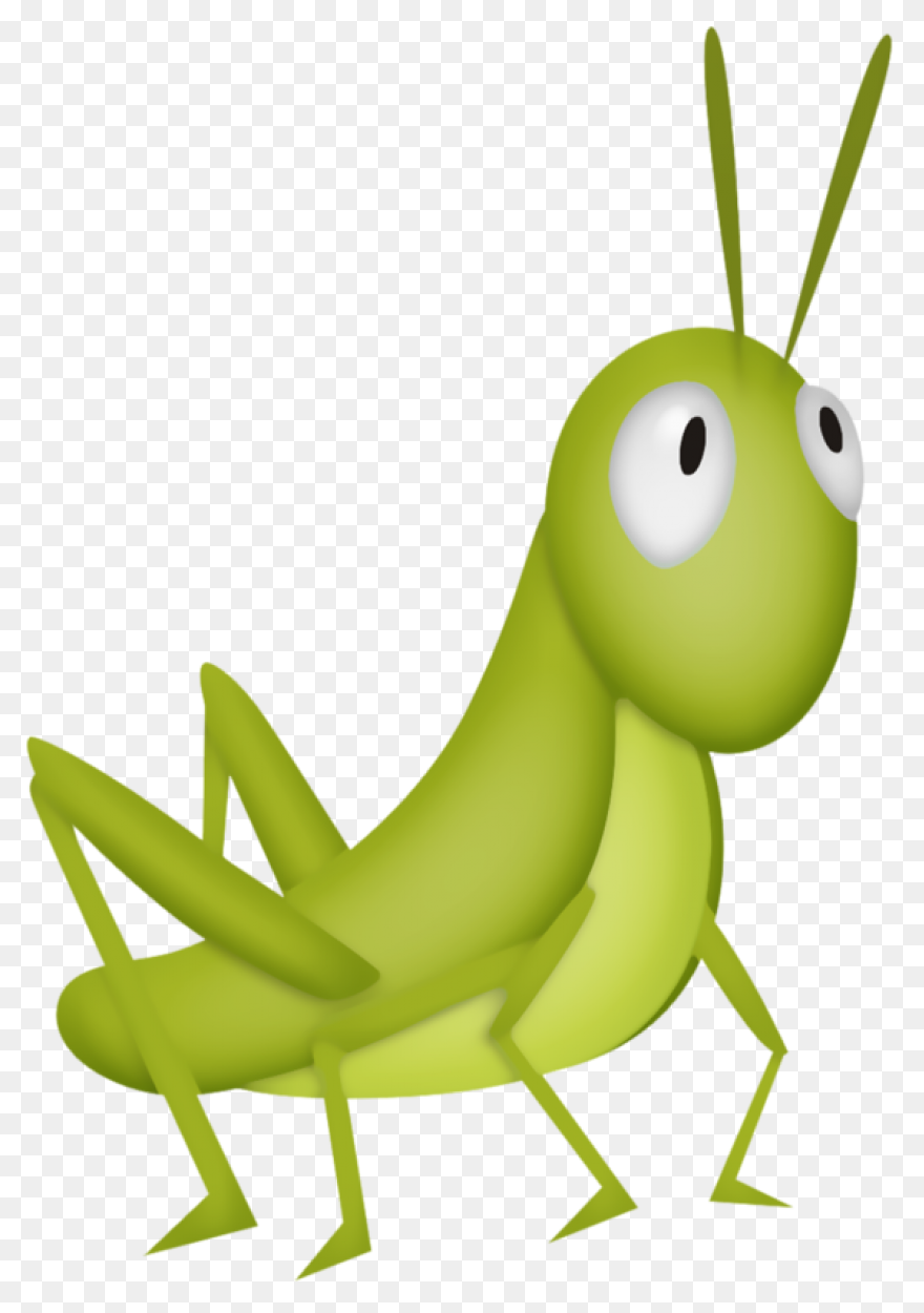 Cricket Ball Png Clip Art | Cricket
