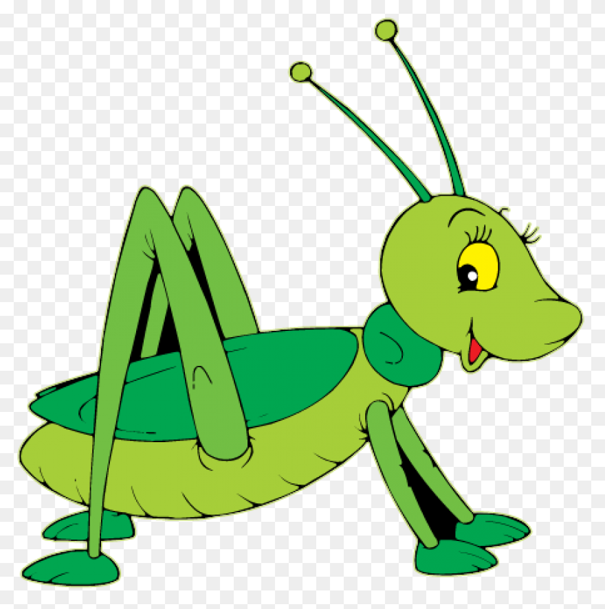 Cricket Ball Png Clip Art | Cricket