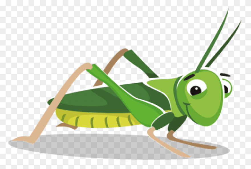 Cricket Ball Png Clip Art | Cricket