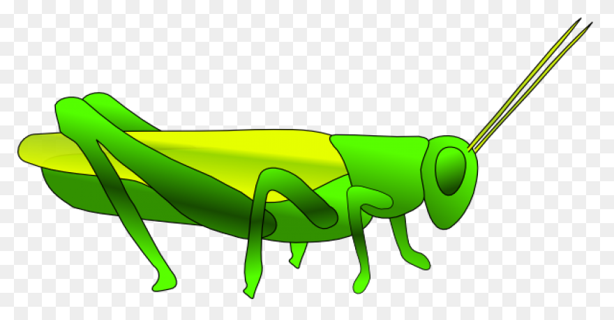 Cricket Ball Png Clip Art | Cricket