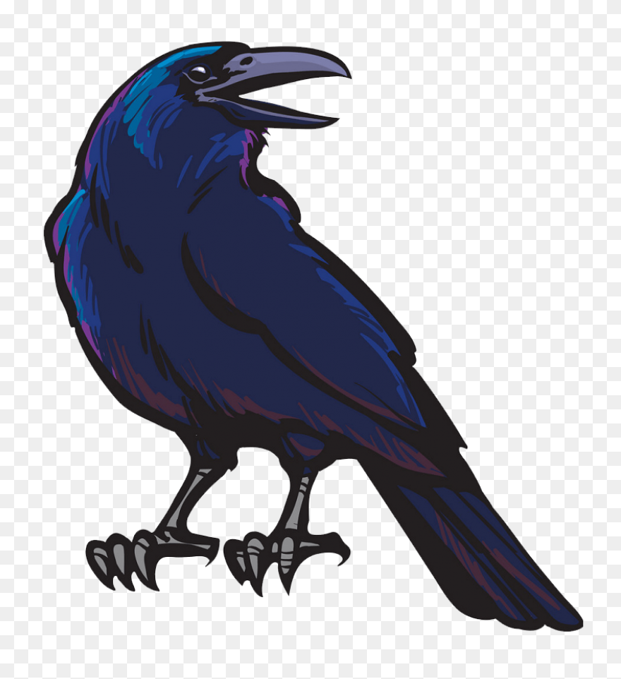 Crow Raven Bird - Free Vector Graph