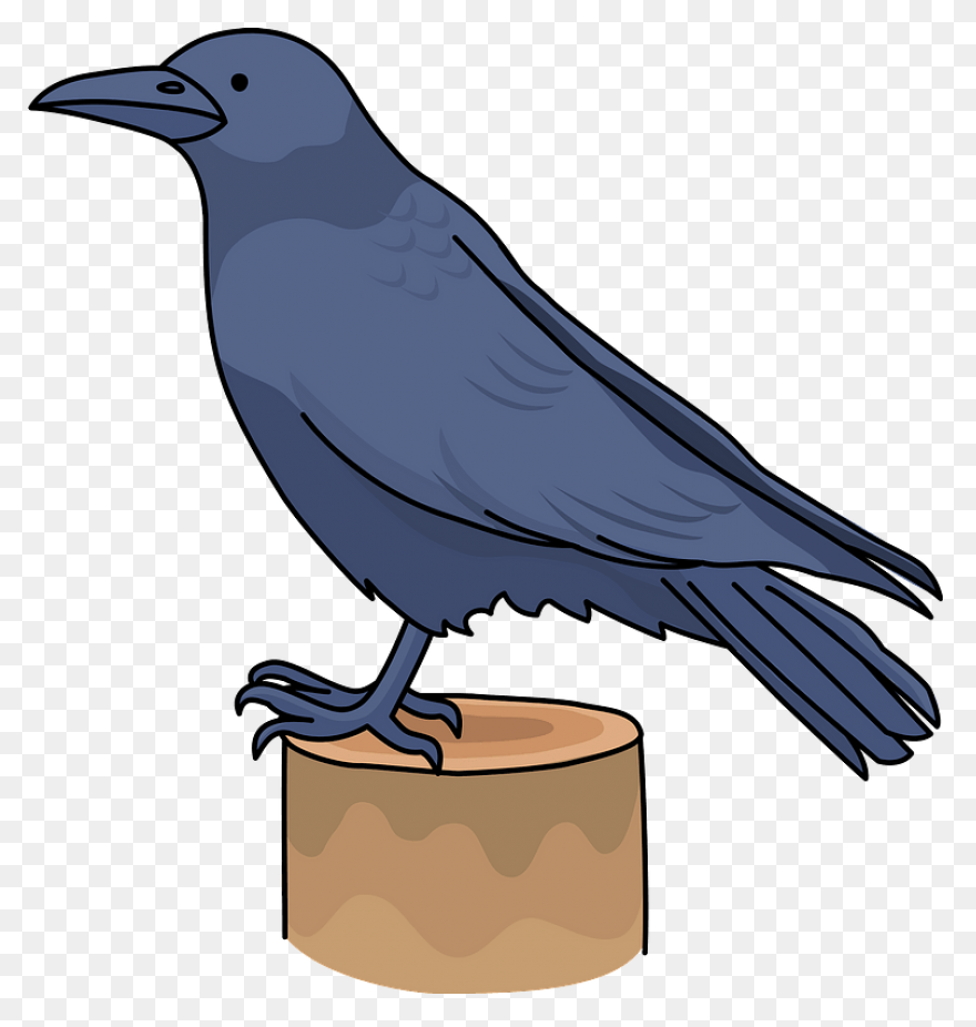 Crow Raven Bird - Free Vector Graph