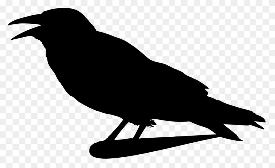 Crow Raven Bird - Free Vector Graph