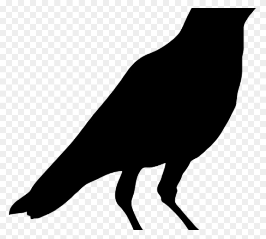 Crow Raven Bird - Free Vector Graph