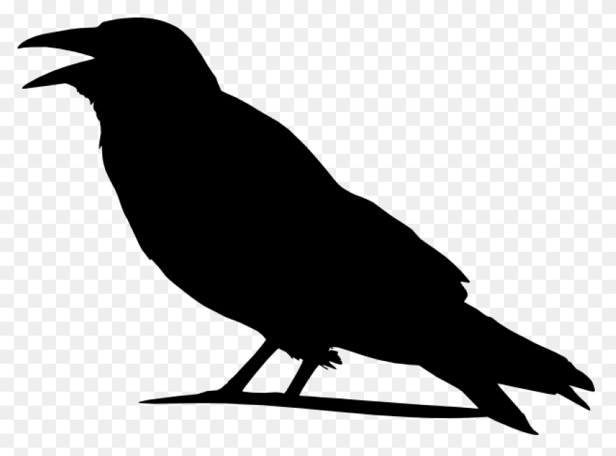 Crow Raven Bird - Free Vector Graph