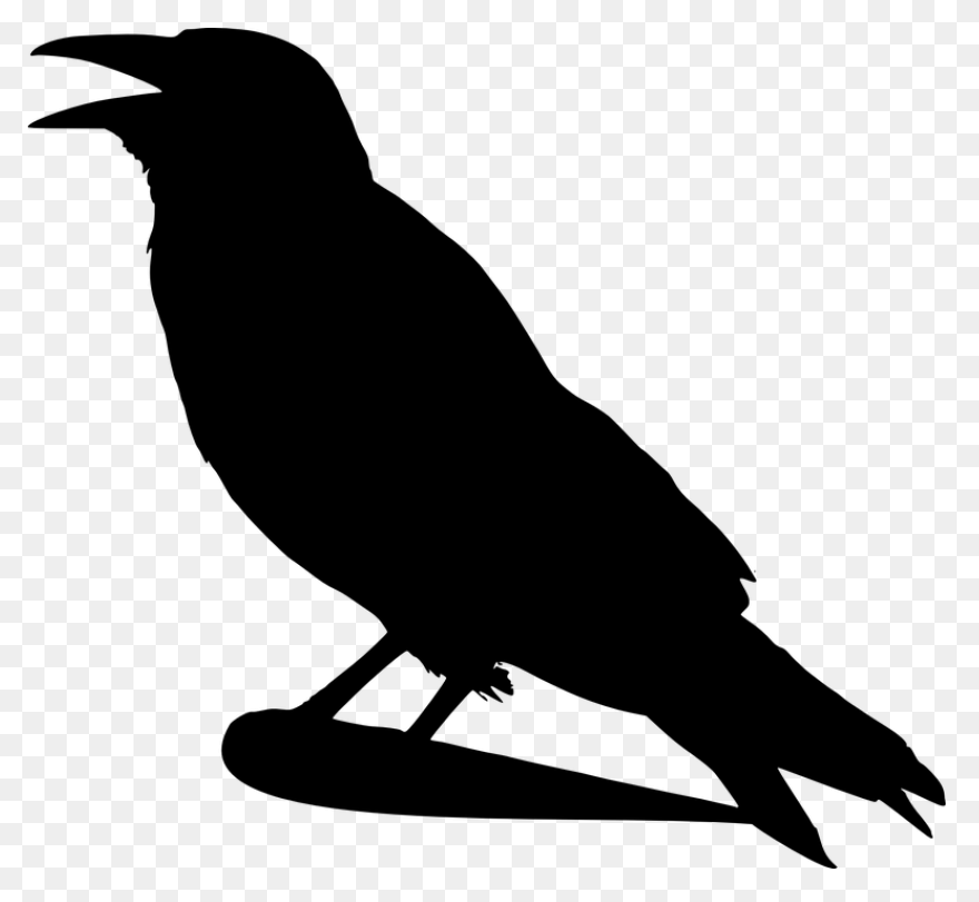 Crow Raven Bird Free Vector - Crow