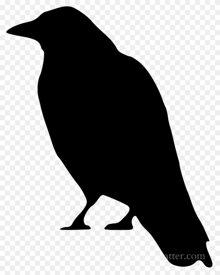 Crow Raven Bird - Free Vector Graph