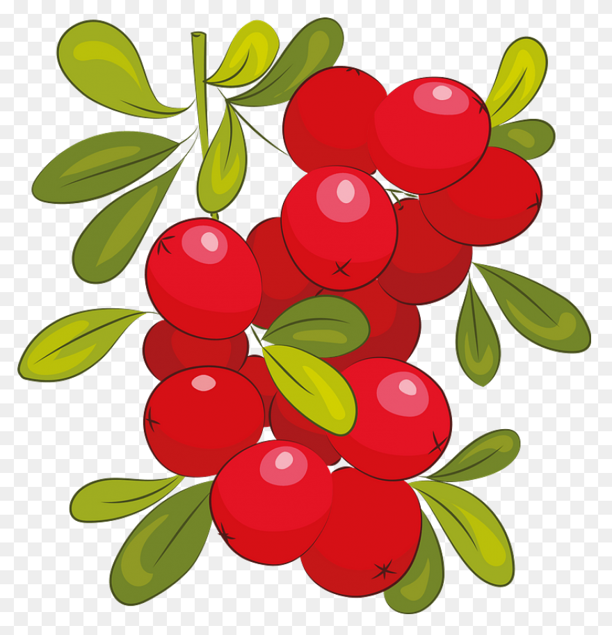 Pacific Coast Fruit Products Ltd. |