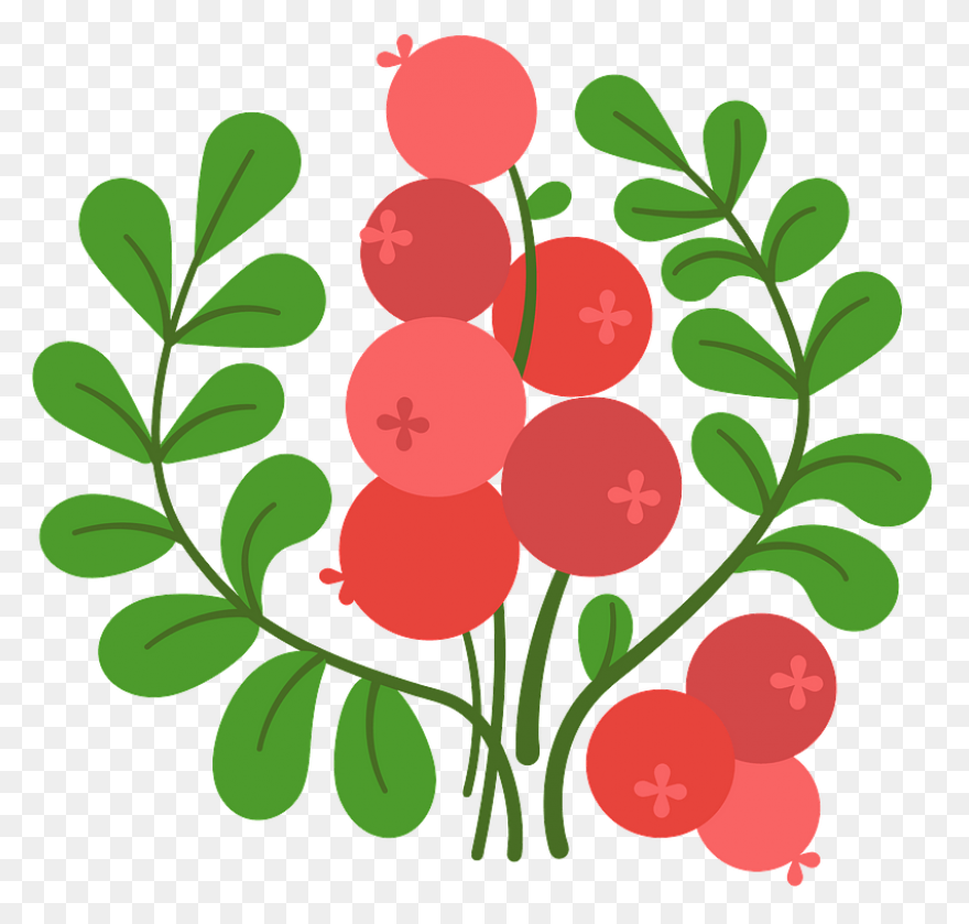 Pacific Coast Fruit Products Ltd. |