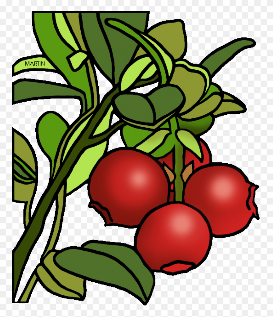 Pacific Coast Fruit Products Ltd. |
