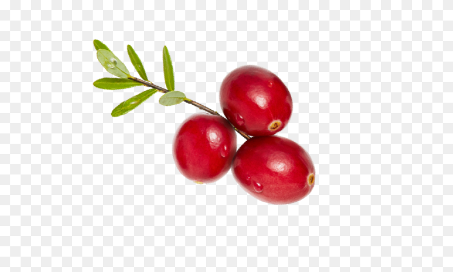 Pacific Coast Fruit Products Ltd. |