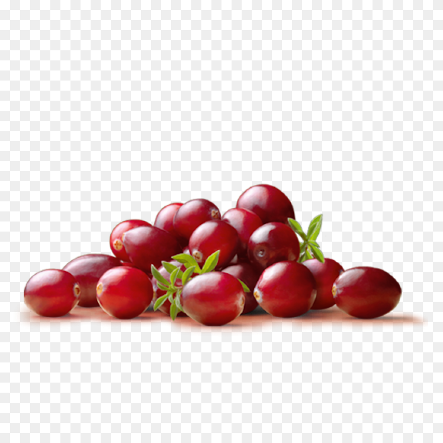 Pacific Coast Fruit Products Ltd. - Cranberry