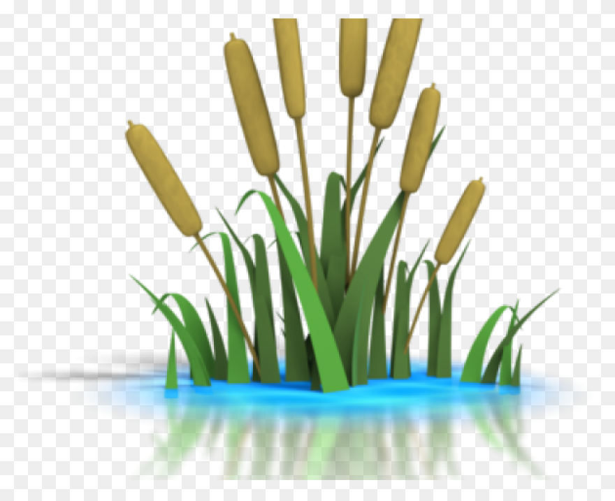 Download Crystal Clipart Sugar Crys