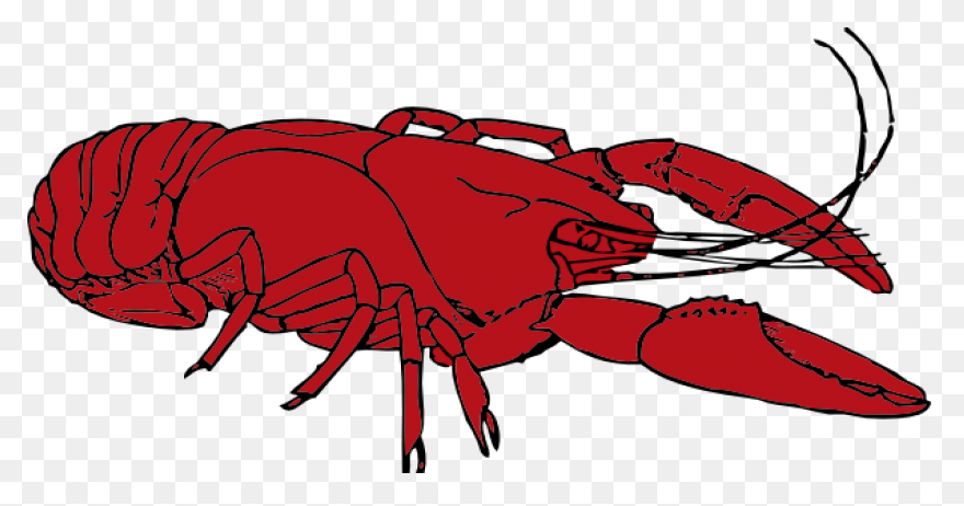 Crawfish Clipart. Free Download Tra