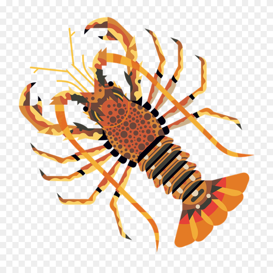 Crawfish Clipart. Free Download Tra