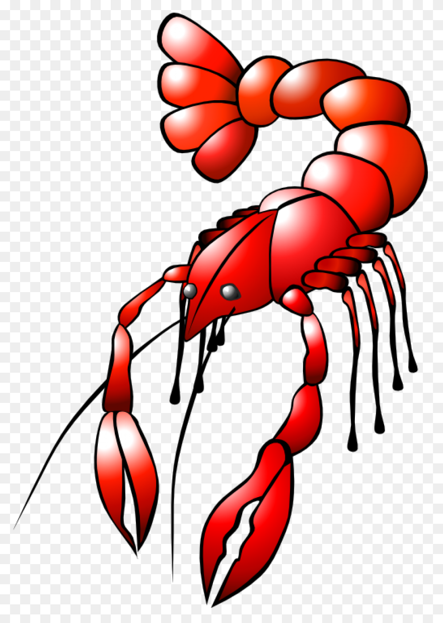 Crawfish Clipart. Free Download Tra
