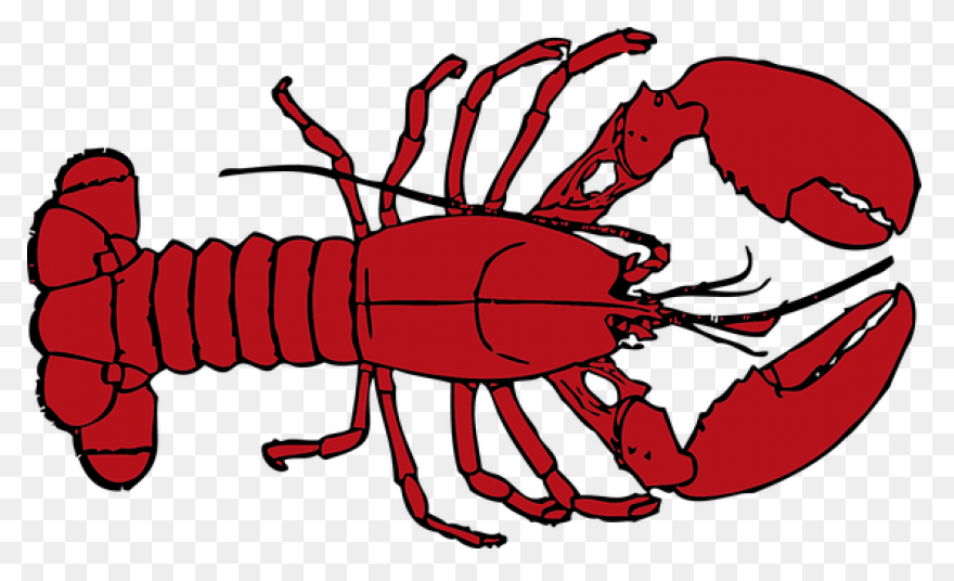 Crawfish Clipart. Free Download Tra