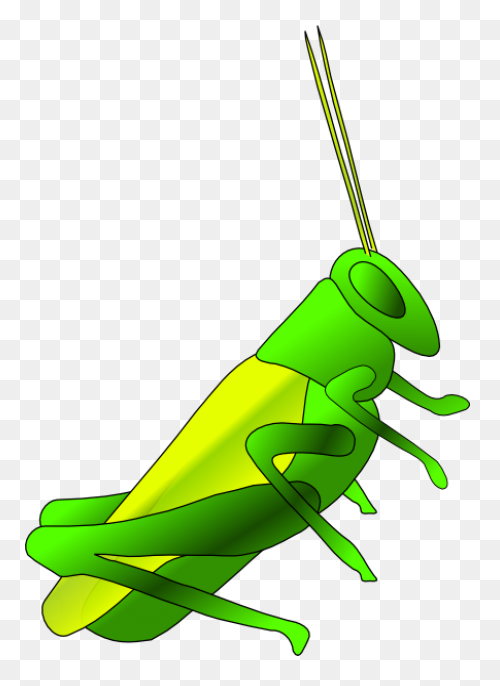 Cricket Insect Clipart - Clipart Su