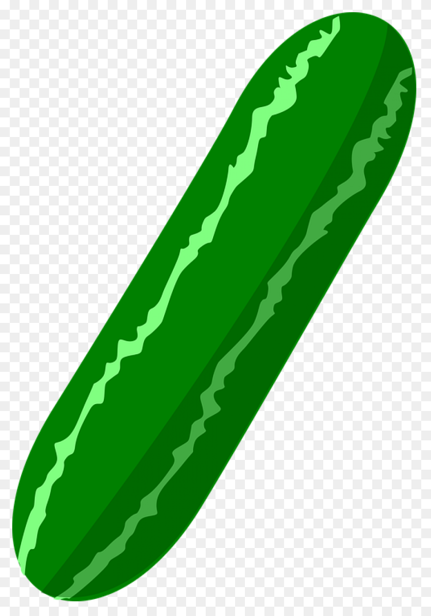 Cucumber Clipart. Free Download Tra
