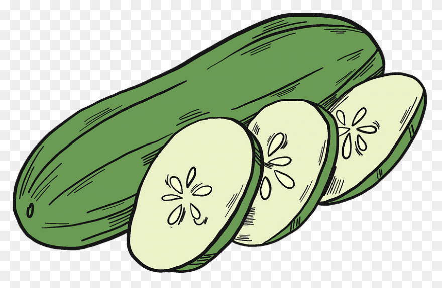 Cucumber Clipart. Free Download Tra